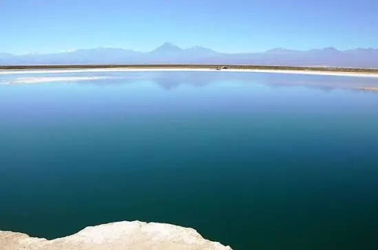 Laguna Cejar Float